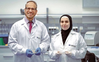 اكتشاف بكتيريا جديدة في أشجار القرم تحد من التلوث