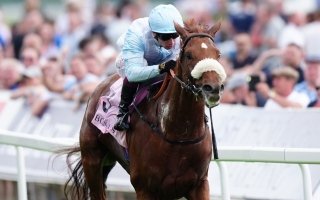 الجواد «جيافيلوتو» يشارك للمرة الرابعة في «كأس دبي العالمي»