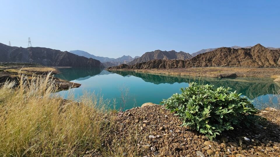 الأمطار الموسمية تعزز الموارد المائية في محمية وادي الوريعة بالفجيرة
