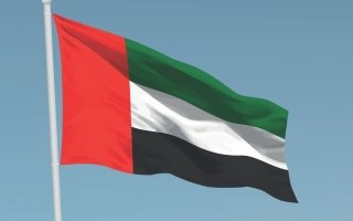 الإمارات تدين اختطاف ناقلة نفط وتؤكد تضامنها الكامل مع مصر