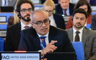 الإمارات ترحب بقرار مجلس “الفاو” بإدانة إيران بسبب تعطيل سلاسل الإمداد الغذائية والزراعية العالمية