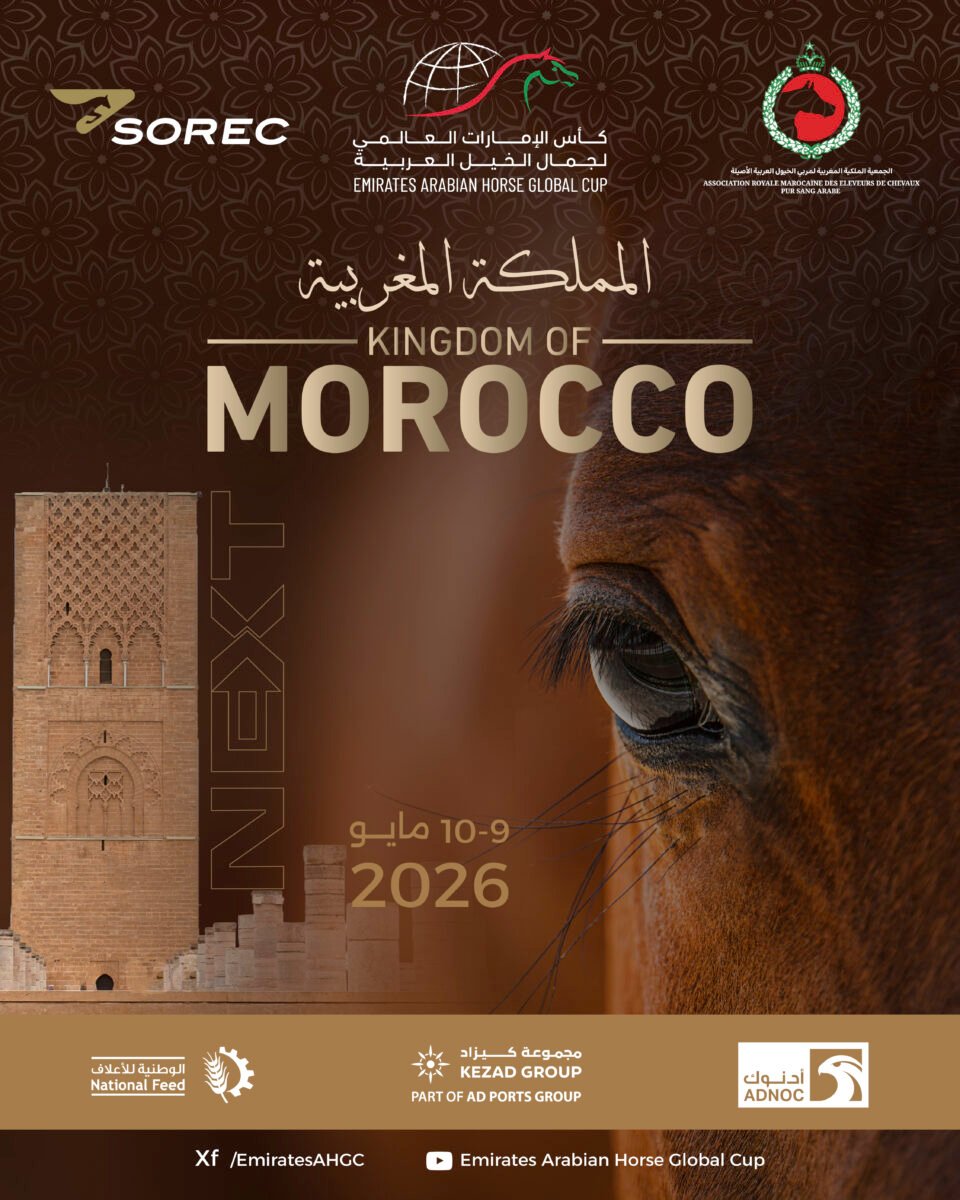 المغرب تستضيف الجولة الثالثة لكأس الإمارات العالمي لجمال الخيل العربية بمشاركة 179 خيلاً
