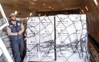 حملة «جسر حميد الجوي» تقدم 600 طن من المساعدات للأشقاء الفلسطينيين في غزة