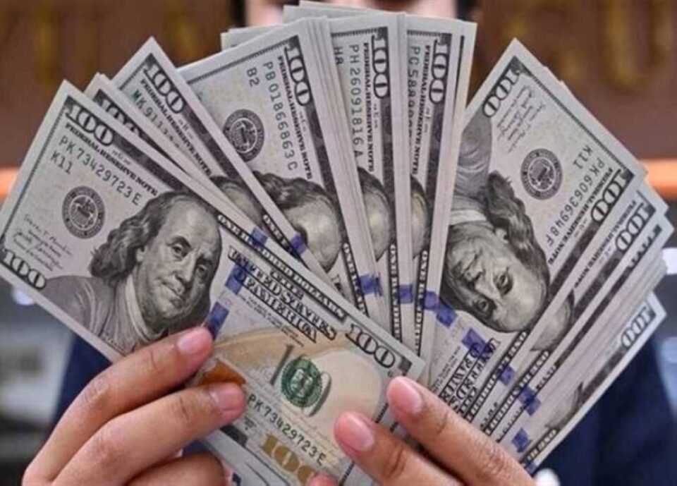 سعر الدولار مقابل الجنيه اليوم الأحد.. تباين في البنوك المصرية