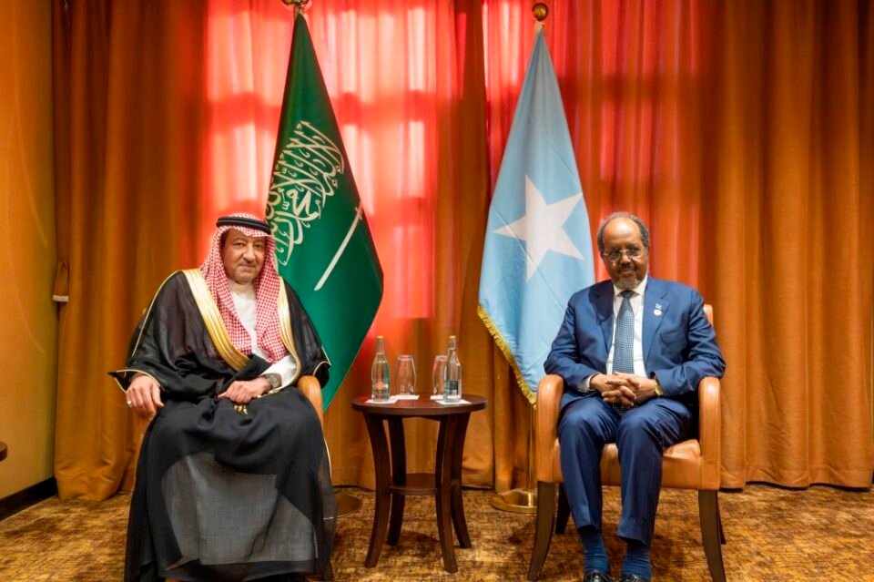 نائب وزير الخارجية يستعرض علاقات التعاون مع رئيس الصومال