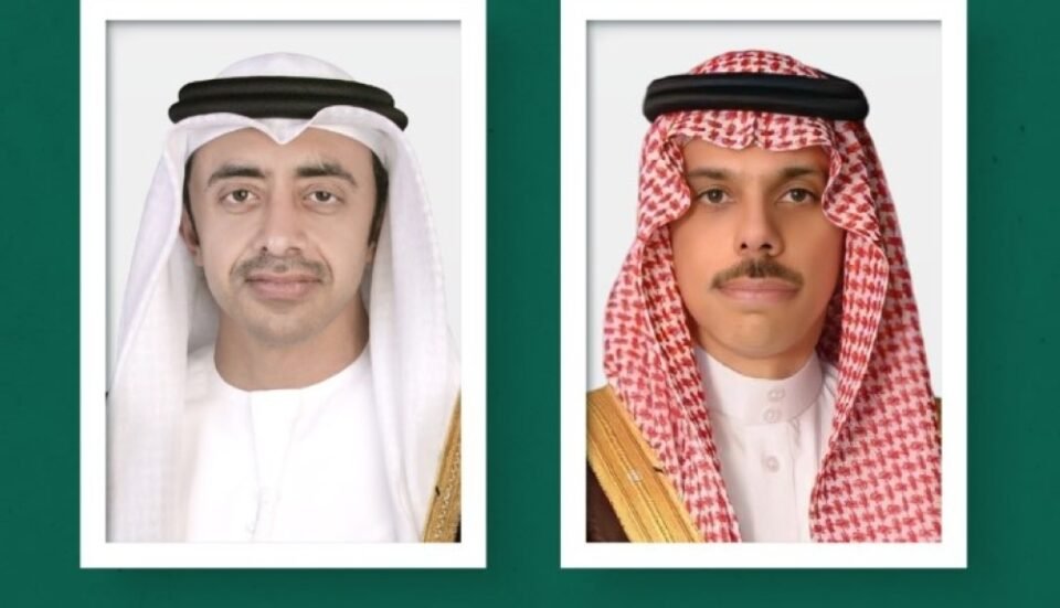 وزير الخارجية يستعرض العلاقات ويبحث الأوضاع مع نظرائه في الإمارات ومصر والمالديف