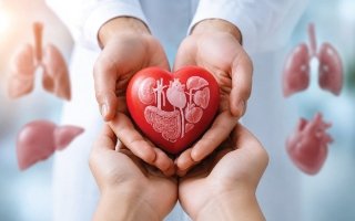 39144 مسجلاً للتبرع بالأعضاء في الدولة.. و7 شروط لتنظيم الدعاية والترويج
