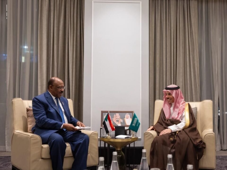 نشاط مكثف بعمّان.. وزير الخارجية يلتقي 4 من نظرائه في الدول العربية
