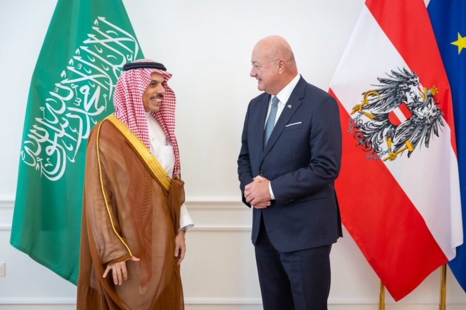 وزير الخارجية يبحث القضايا الإقليمية والدولية مع المستشار النمساوي