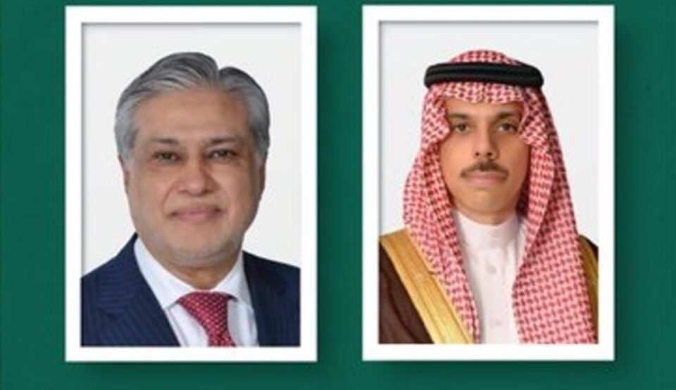 وزير الخارجية يستعرض آخر التطورات في المنطقة مع نظيره الباكستاني
