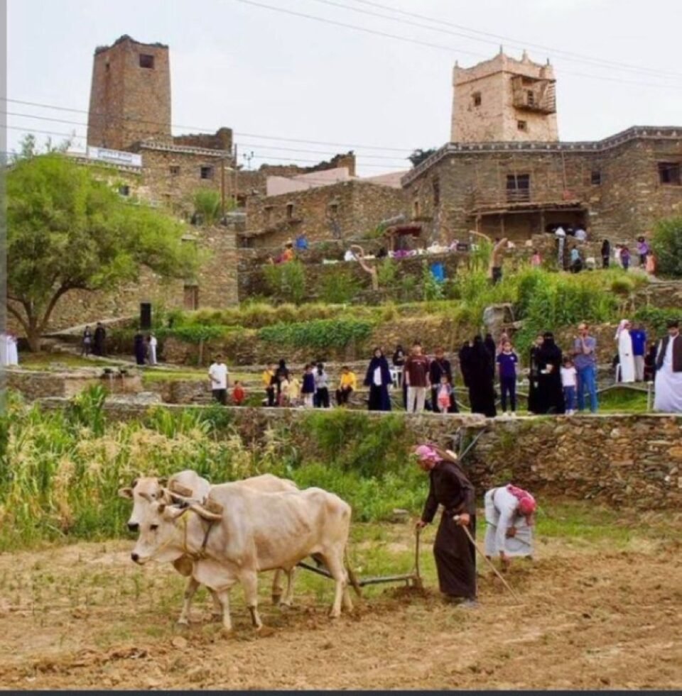 مهرجان الأطاولة التراثي يفتح أبوابه للزوار مع تشغيله التجريبي لدورته التاسعة