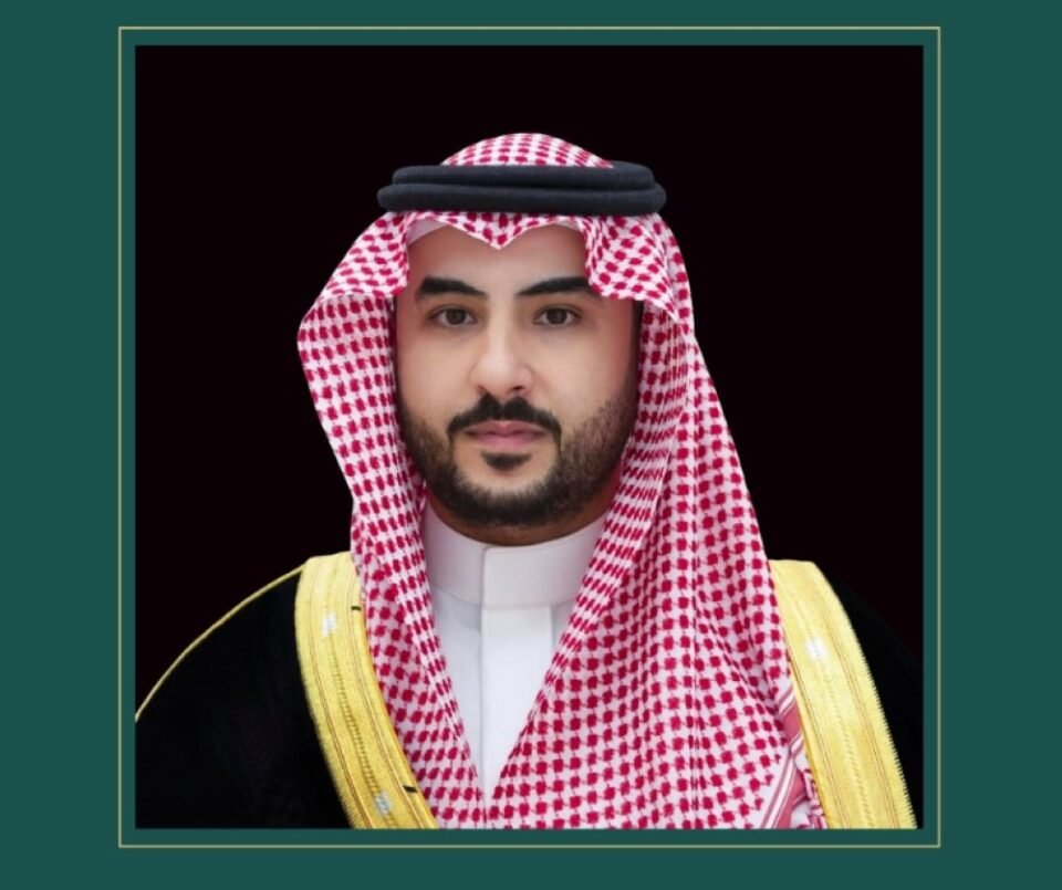 وزير الدفاع يبحث مجالات التعاون العسكرية مع نظيرته الجنوب أفريقية